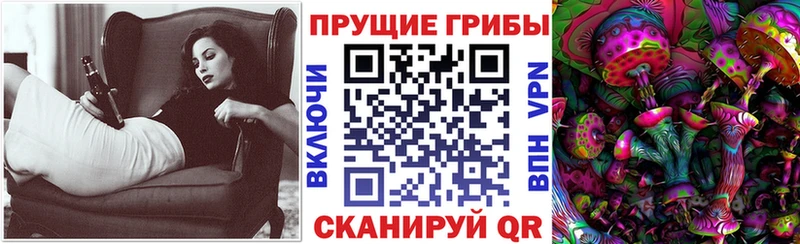 МЕГА вход  Волчанск  Псилоцибиновые грибы MAGIC MUSHROOMS 